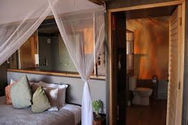 Dubbo accommodation, dubbo zoo accommodation, 140 motel style rooms and apartments. Promo 60 Off Taronga Western Plains Zoo Zoofari Lodge Australia 2 Night Cheap Hotel Deals