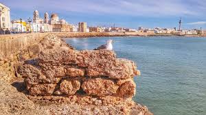 Bildresultat för CADIZ