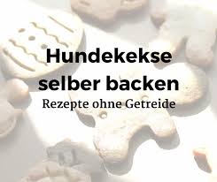 Würden hunde ihr futter selbst einkaufen, dann würde ein lebensmittel sicherlich ganz. Hundekekse Selber Backen 6 Tolle Rezepte Ohne Getreide