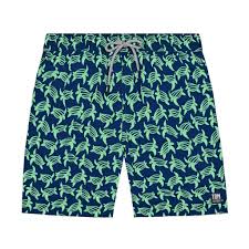 Mens Swim Trunks Navy Green Turtles Tom Teddy