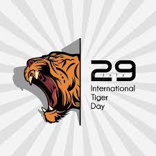 क्यों मनाया जाता है international tiger day? International Tiger Day Stock Vector Illustration Of Cartoon 151957552