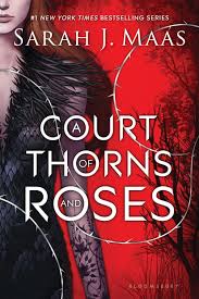 Maas's #1 new york times bestselling a court of thorns and roses series. Cozy Corner Book Club A Court Of Thorns And Roses Guide To Everything