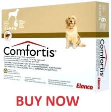 Comfortis For Cats Evergreenre Co