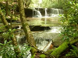 Holly river state park, settled in 1870 by swiss immigrants, is know for its many waterfalls and lush forest trails. Holly River State Park Wv Moment Johnson