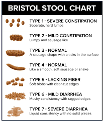 The chart is designed to help doctors measure the time it takes. Bristol Stool Chart The Autism Community In Action Taca
