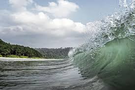 The noaa tsunami program is a federal and state partnership dedicated to saving lives and protecting property before, during, and after tsunami impact through applied research, detection, forecasts, archive, mitigation, and international coordination. Tsunami Alert Systems Hormann Warnsysteme