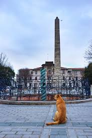 B.if your dog would go with vet for nail trim, groom, check ups, and you would stay in waiting room sometimes, then she would possibly have been less suffering from your absence than your presence. Where To Find Constantinople Today Exploring Istanbul By Eras