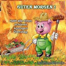 Whatsapp könnt ihr streng genommen nur mit einer handynummer auf einem handy nutzen. Lustig Sonnig Schonen Dienstag Bilder Und Spruche Fur Whatsapp Und Facebook Kostenlos