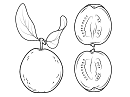 Baseado na brincadeira popular do telefone sem fio, aliado às mecânicas de desenho do gartic, nós da equipe lançamos um novo jogo: Desenhos De Goiaba Para Colorir E Imprimir Colorironline Com