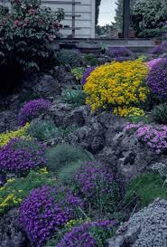 Naturstein Trockenmauer Bepflanzen Geignete Pflanzen Fur Mauerfugen Halbschatten Natursteinmauernbepflanzen Hang Rockery Garden Rock Garden Purple Garden
