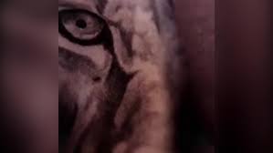 Find out everything about memphis depay. Ob3isildcryznm