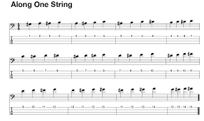 Quelques clefs pour accompagner des blues en la et des blues en la mineur electric bass/easy / 1 pdf. The First Things You Should Learn On Bass Guitar