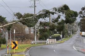 We did not find results for: Freedomroo Victoria Storm Man Dies In Floodwaters Australiannewsreview