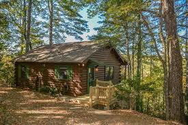All categories all north georgia cabin rentals $99 a night cabins mountain view cabins seasonal & wooded properties waterfront/waterview cabins pet friendly cabins cabins available this weekend cabins for sale in blue ridge. Starling Skies Adorable 2 Bedroom 1 Bath Cabin With A Beautiful Mountain View Pet Friendly Gas Grill Wood Bur Blue Ridge Cabin Rentals Cabin Cabin Rentals