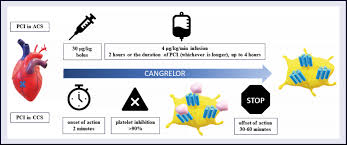 Image result for Cangrelor