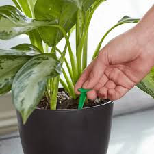Categories indoor gardening indoor vegetable gardening supplies. Must Have Indoor Gardening Supplies For Your Indoor Garden