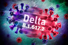 Hepatitis delta virus infections are found worldwide, but the prevalence varies in different geographical areas. Epkhc2hob70cm