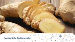 Mengenal Jahe Sebagai Tanaman Obat Keluarga Roti Hot Dog Tanaman Obat Tanaman