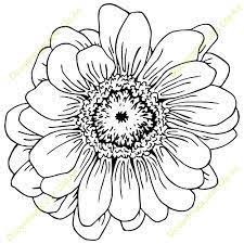 Google Flower Drawing Flower Drawing Images Zinnias