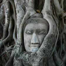 Medicine Buddha Holistic Business Coaching with Johanna Alper