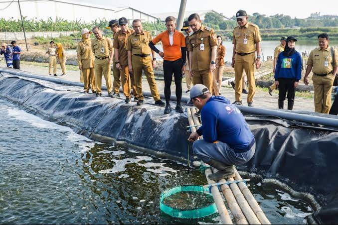 Di Tengah Kepungan Kawasan Industri, Tambak Udang Pemprov Jateng Cetak Hasil Panen Berkat Rekayasa Teknologi - Klikfakta