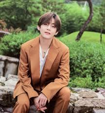 Bt21 sports pants $41.99 $59.99. Scan Bts Summer Package In Korea 2019 C Chimtae D Kim Taehyung Bts Summer Package Taehyung