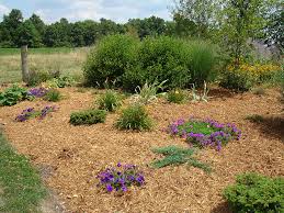 It is golden in color. Cypress Mulch Indianapolis Mulch Mccarty Mulch