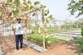 Taman bunga pandeglang banten, taman bunga kampung jambu pandeglang, kampung jambu pandeglang banten, taman. Bunga Mulai Bersemi Di Kampung Jambu Kaduhejo Pandeglang Berita Banten Banten Tribun