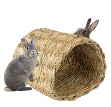 List your bird for sale, or browse hundreds of birds for sale in australia on petsplease.com.au. High Qulity Small Pet Folding Grass House Rabbit Chinchilla Hamster Made In Viet Nam Buy Rabbit Cage Rabbit Hutches Pet House Rabbit House Cat House Animal House Small Animal House Rabbit