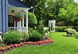 Best Grass Types For Georgia Lawns Best Pick Reports