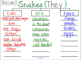 My Crazy Life In Kindergarten Super Snake Mini Unit Thinking Maps Thinking Map Kindergarten Anchor Charts