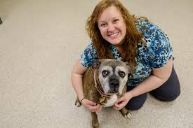 Maybe you would like to learn more about one of these? Veterinary Technician Aas Iowa Lakes Community College