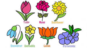 It can be any flower you like. How To Draw A Flower With These Easy Step By Step Tutorials For Kids