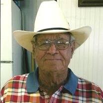 Bill Meisner Obituary