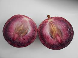 Image result for images of star apples