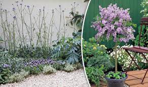 We did not find results for: Tips And Advice On Planting Lilacs In Your Garden Express Co Uk