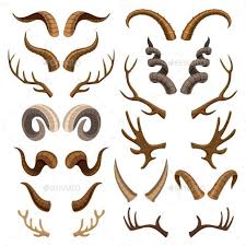 Horn Vector Horned Wild Animal And Deer Or Antelope Antlers Illustration Set Of Wildanimals Animal Antelope An Antler Illustration Antler Drawing Horns