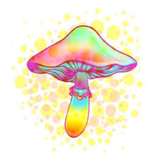 Psychedelic Mushroom Vector Images Over 750 Cool black & white mushroom drawing. vectorstock