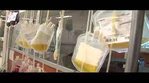 De esta forma, a medida que las moléculas de fibrina se combinan entre sí, forman una malla fibrosa pegajosa y larga que atrapa las plaquetas, los glóbulos blancos y los glóbulos rojos. Las Plaquetas Es Un Elemento De La Sangre Cada Vez Mas Solicitado Por La Poblacion Youtube