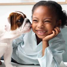 Profile for Mike Dade MLO