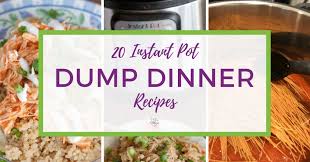 These instant pot swedish meatballs and noodles are an easy one pot meal made in the pressure cooker! 20 Instant Pot Dump Dinner Recipes The Holy Mess
