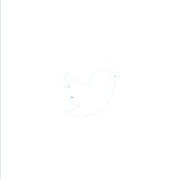 Image result for twitter logo black