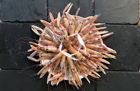 Les Fetes De Fin D Annee Sont Pour Beaucoup D Entre Nous Synonymes De Bons Repas Partages En Famille Ou Entre Amis No Langoustines Mayonnaise Video De Cuisine