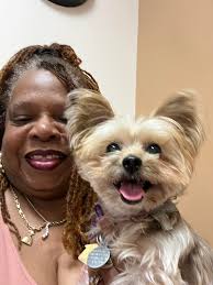 Freshly bathed 🚿🤣🐕