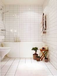 Minimal Ecology Bathroom Tub Shower Combo Small Bathroom Makeover Bathroom Tub Shower