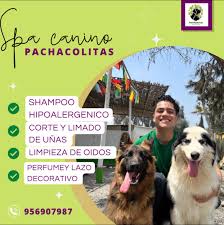 Pachacolitas