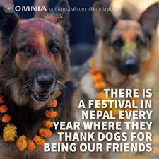 Kukur Tihar A Special Day Dedicated To Celebrate Dogs Need To Put This On My Bucket List Dogs Dog Bucket List Dog Love