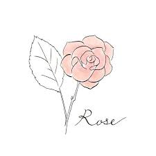 Pin Von Barinenigma Auf Journal Ideen Rose Zeichnung Rosen Zeichnen Pflanzenzeichnung
