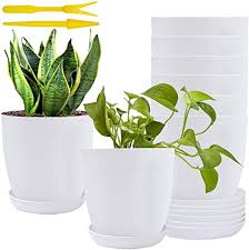 Wayfair.com has been visited by 1m+ users in the past month Amazon Com 6inch Plastic Planters White Modern Gardening Plant Pots Matte Indoor Planter Pot For Succulent Flowers Indoor Plants Cactus Herbs Yards Garden Office Decoration With Saucer Drainage Holes Set Of 8