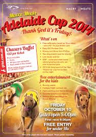 I hope this site will shed some light on just how wonderful these dogs are as pets. Greyhound Racing Sa Adelaide Cup 10 October 2014 What S On For Adelaide Families Kidswhat S On For Adelaide Families Kids